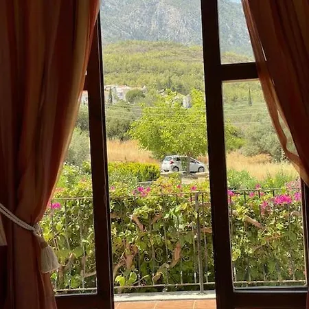 Cyprus Harbour View Villa