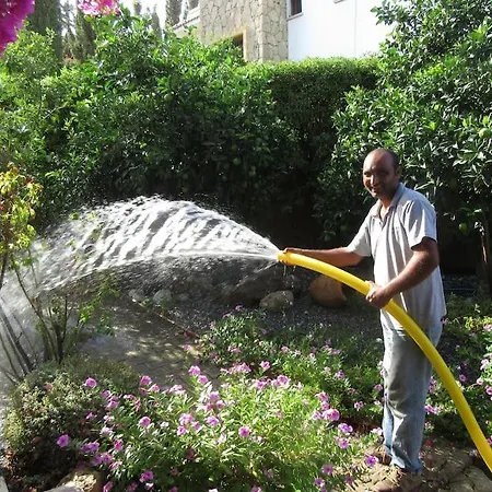 Cyprus Harbour View Villa