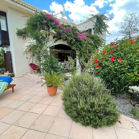 Cyprus Harbour View *