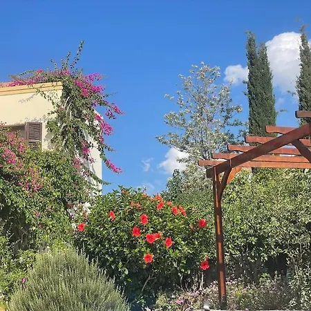 Villa Cyprus Harbour View