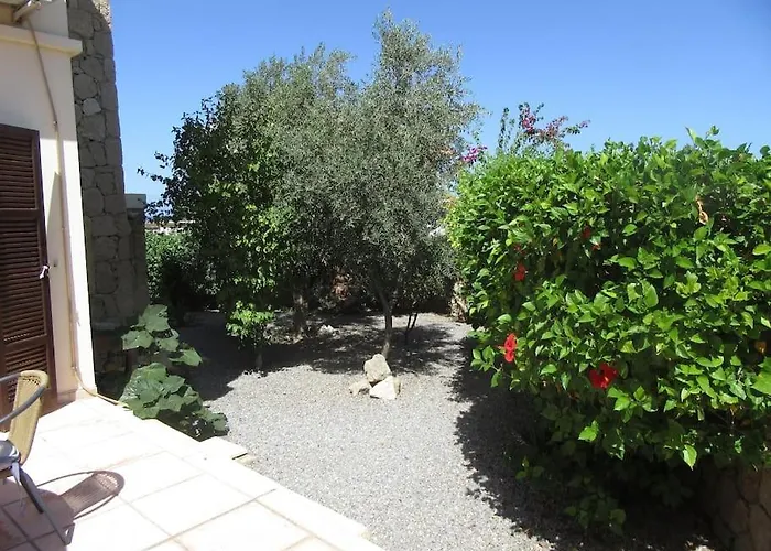 Cyprus Harbour View キレニア