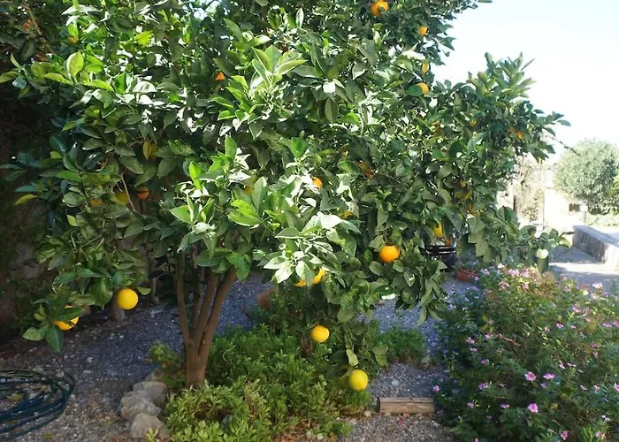 Cyprus Harbour View ヴィラ