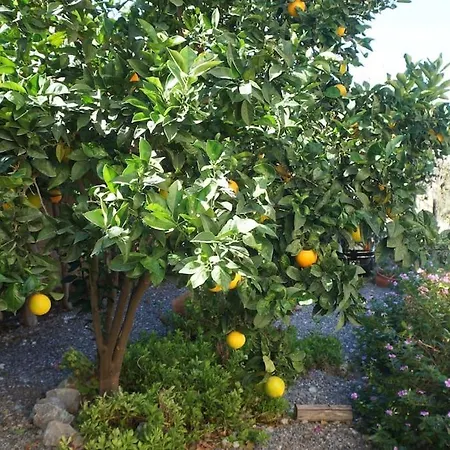 Cyprus Harbour View Βίλα
