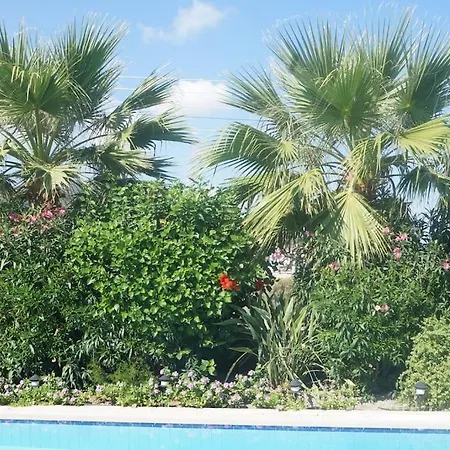 Cyprus Harbour View * Κερύνεια