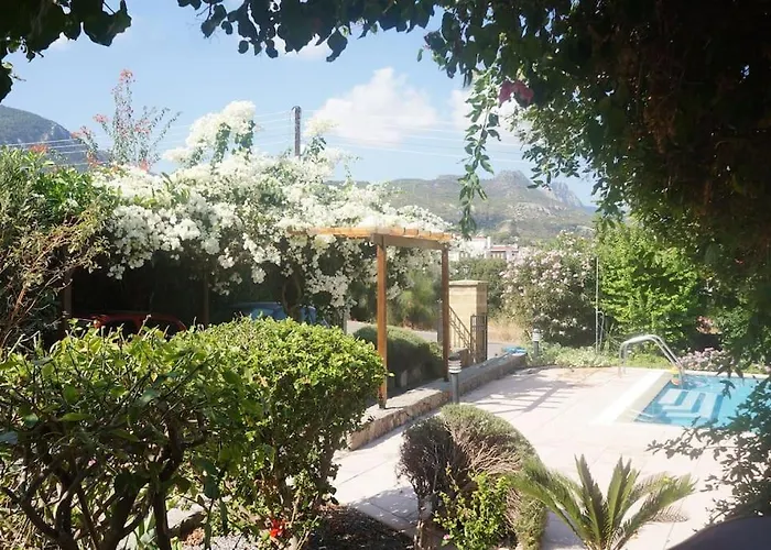 Cyprus Harbour View * Κερύνεια